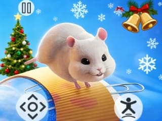 Hammer Playground Maze